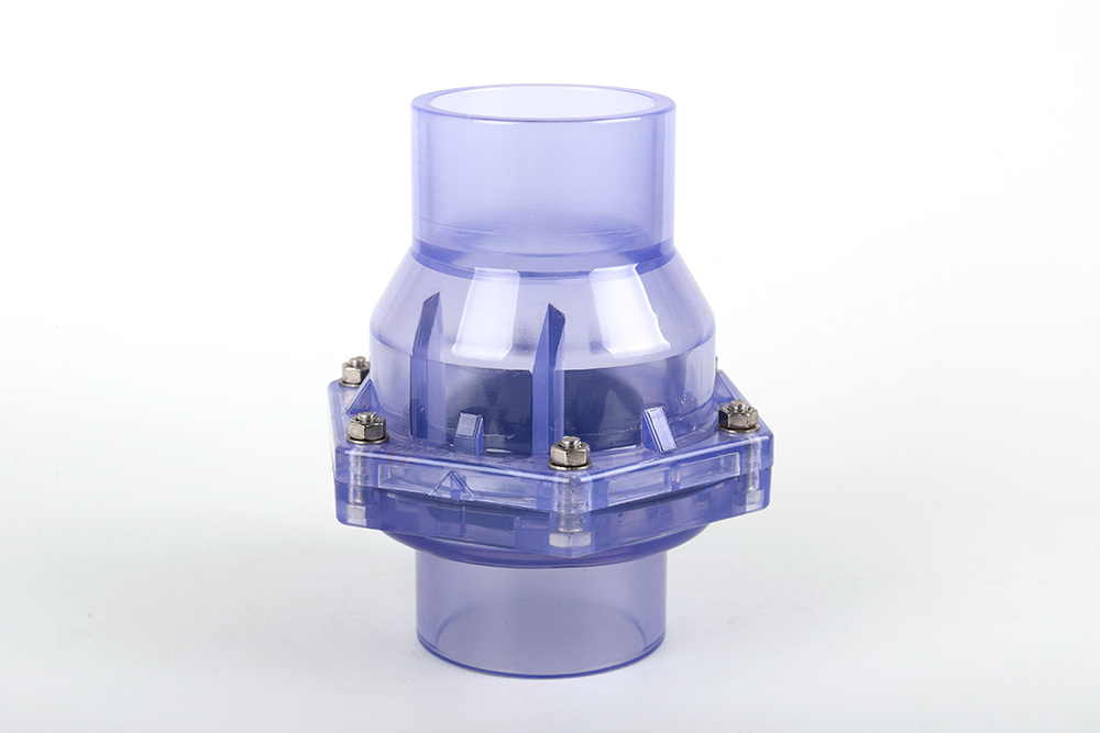 卧龙透明翻板式止回阀